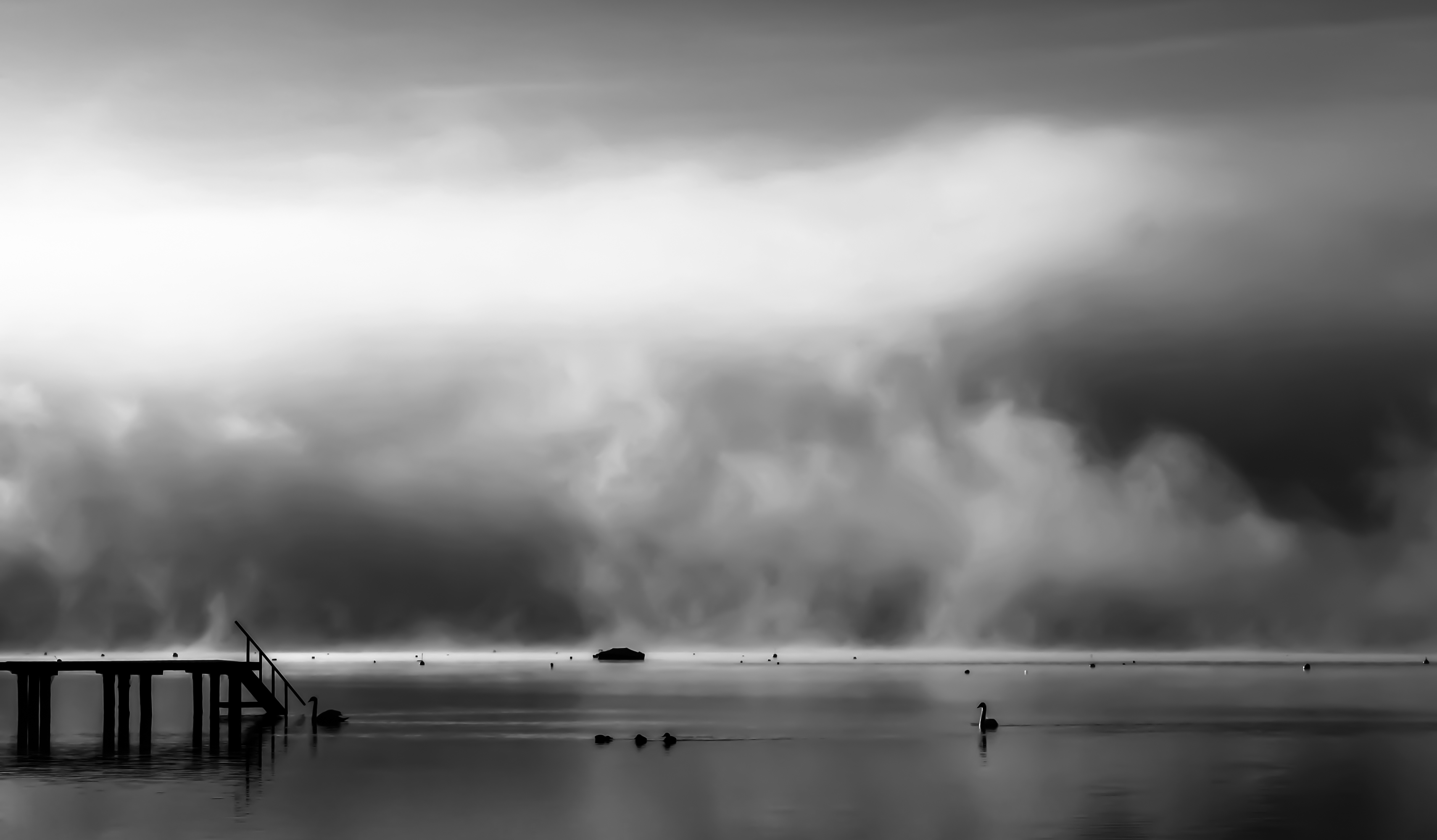 Monatsbilder November 2018